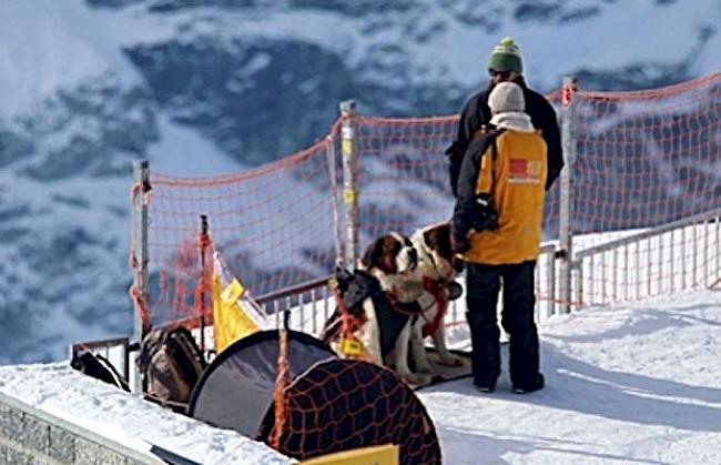 Bild aus der Vergangenheit: Bernhardiner bei einem der umstrittenen Einsätze im Skigebiet von Zermatt.