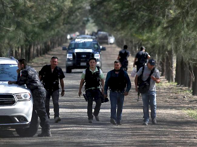 Mexikanische Polizisten und Soldaten inspizieren eine Ranch im Westen des Landes. Hier hatten sich die Sicherheitskräfte ein stundelanges Feuergefecht mit mutmasslichen Mitgliedern eines Drogenkartells geliefert