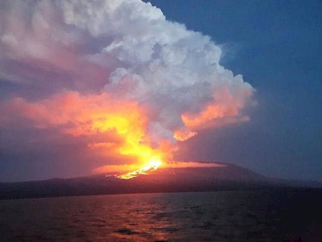 Der erste Ausbruch des Vulkans Wolf auf der Isabela Insel auf den Galapagos seit rund 35 Jahren